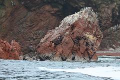 1216-Isole Ballestas,19 luglio 2013